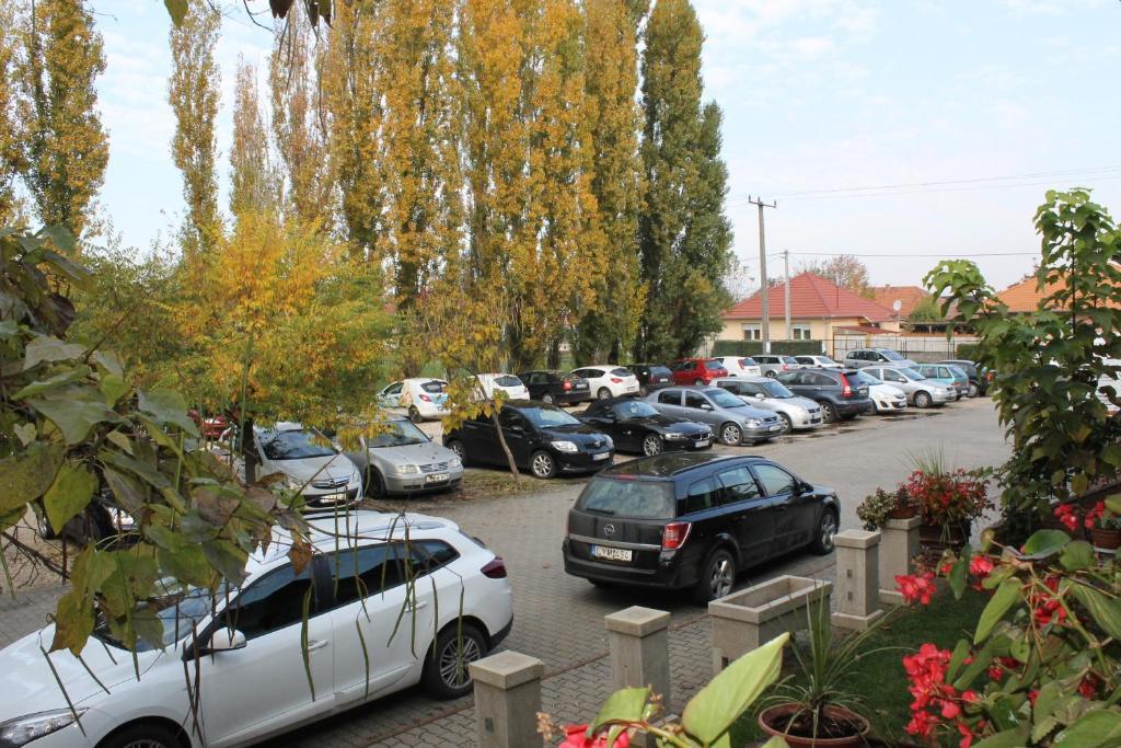 Bajor Panzio Kecskemét Exterior photo